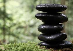 Black stones on moss